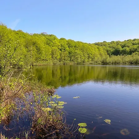 Casa - Apt. 01 Sellin (Rugen)