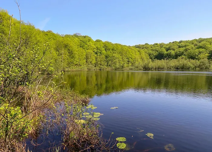 Casa - Apt. 01 Sellin (Rugen)